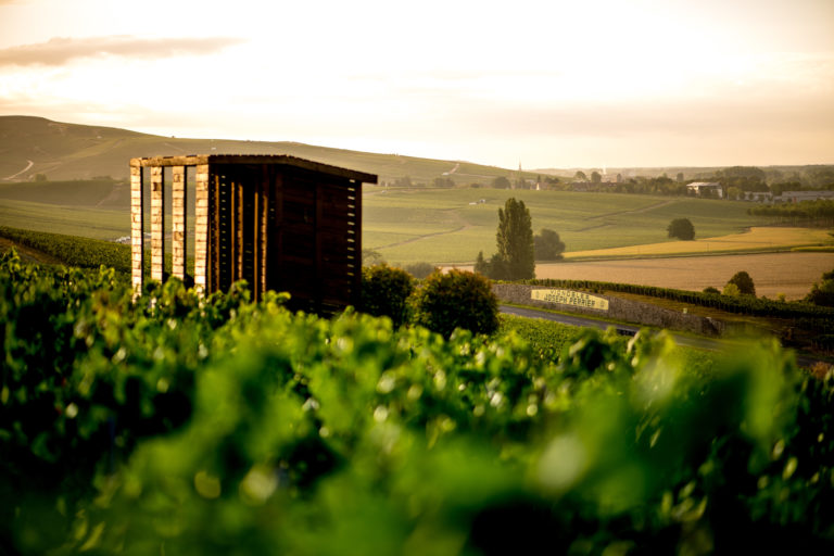 Champagne Joseph Perrier - Vignobles